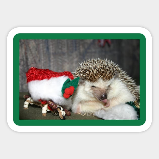 Christmas Hedgehog Sticker by ladyshiro42